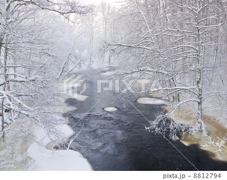 Winter Landscape Winter Landscape 8812794