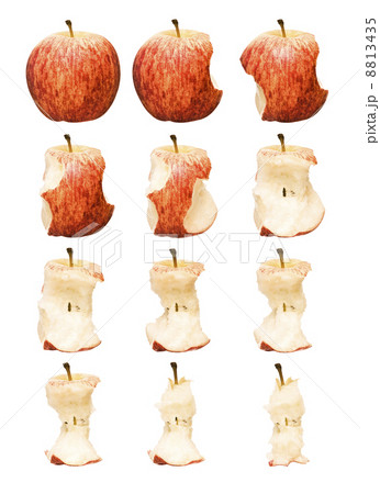 Red Apple Time Lapse 8813435