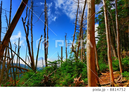 金峰山からの世界遺産 8814752