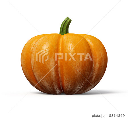 pumpkinのイラスト素材 [8814849] - PIXTA