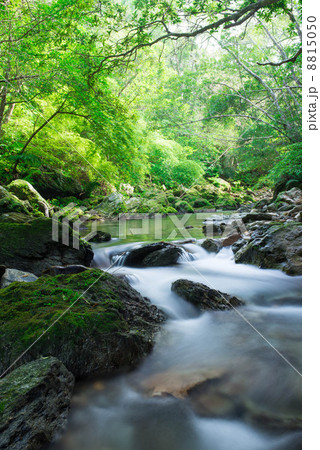 沖縄の風景・やんばるの清流・比地川 8815050