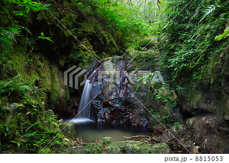 やんばるの清流（比地川） 8815053