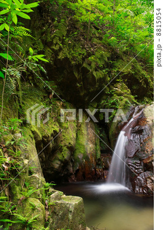 やんばるの清流　比地川 8815054