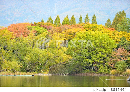 三島池と伊吹山 三島池と伊吹山 8815444