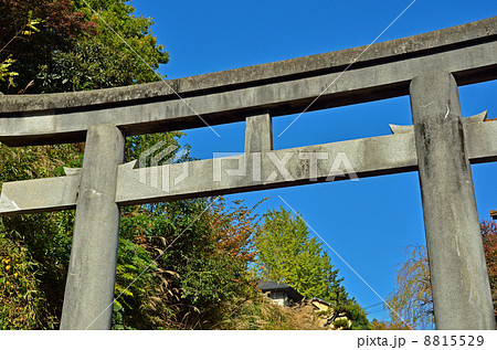 宇都宮散歩・蒲生神社　第27代横綱栃木山寄進の石鳥居 8815529