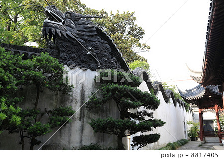 上海、豫園、龍の壁 8817405