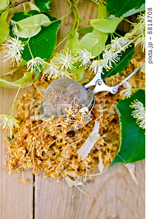 Herbal tea from linden flowers in a tea strainer Herbal tea from linden flowers in a tea strainer 8818708