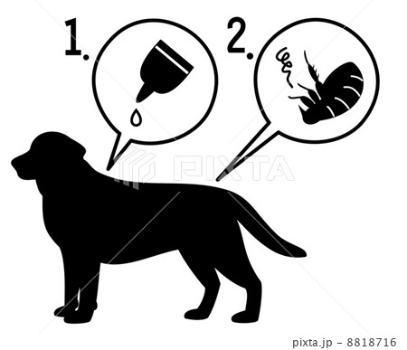 犬のノミ退治 8818716
