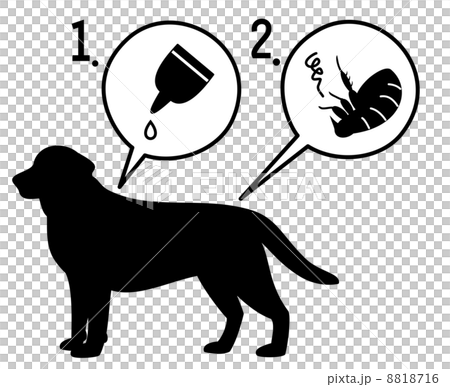 犬のノミ退治 8818716