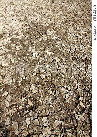 Dried land cracks in desert 8822358