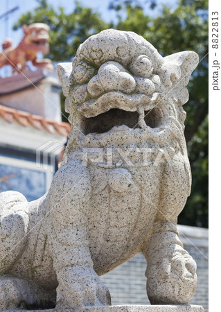 Lion statue Lion statue 8822813