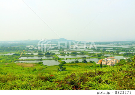 Fish ponds and farmland in Hong Kong Fish ponds and farmland in Hong Kong 8823275