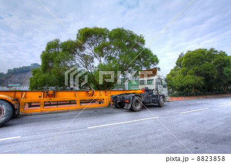Truck car along the road, HDR image. 8823858