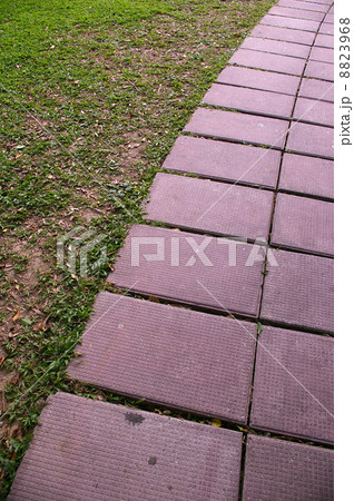 Rocky floor 8823968