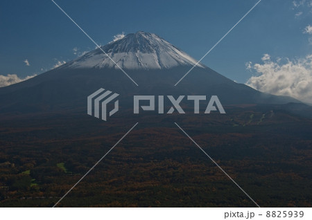 青木ヶ原樹海を超えて、紅葉台から富士山を臨む 8825939