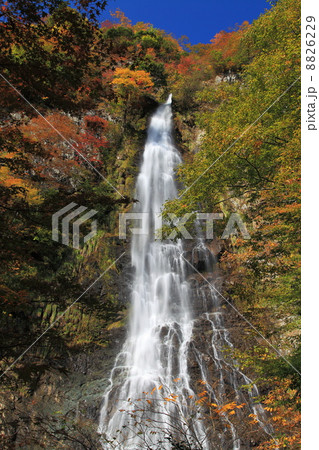 秋の紅葉と天滝 8826229