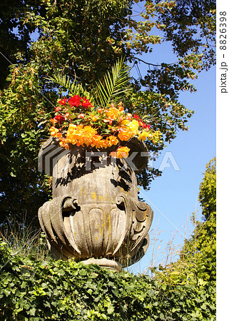 Flower in ancient stone vase 8826398