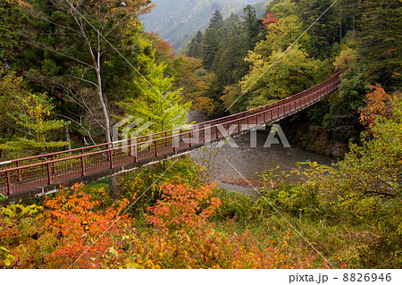 紅葉～秋川渓谷～(東京都-あきる野市) 8826946