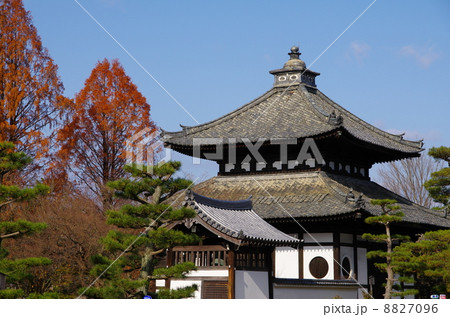 東福寺　経蔵 8827096