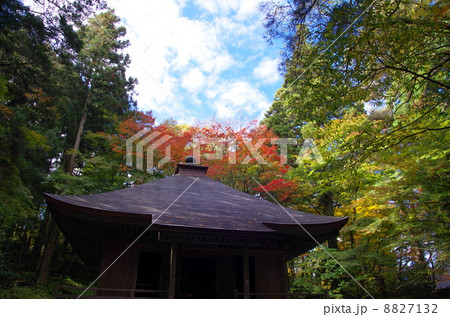 中尊寺　経蔵 8827132