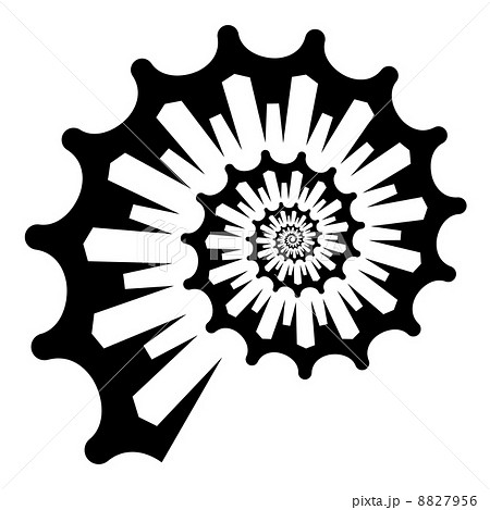 Shell Silhouetteのイラスト素材