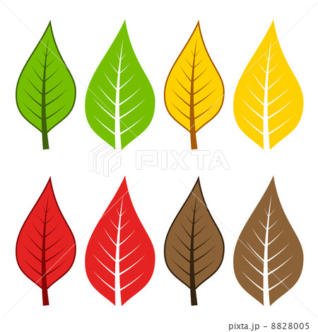 autumn leafs 8828005