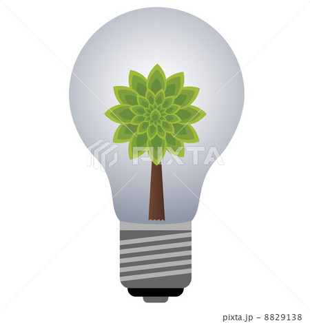 plant bulb 8829138