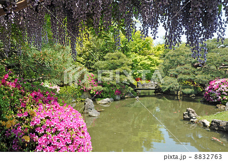 京都　城南宮　源氏物語花の庭 8832763