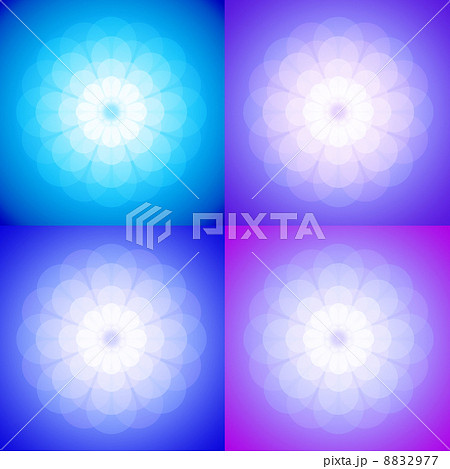 白い花　ブルー系　バリエーション　 8832977