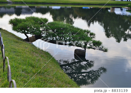 岡山後楽園 流水の池 岡山後楽園 流水の池 8833139