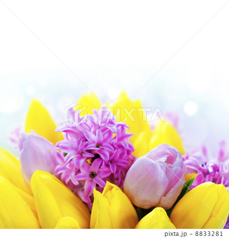 Beautiful flowers Beautiful flowers 8833281
