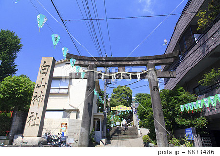 東京都・白山神社の鳥居 東京都・白山神社の鳥居 8833486