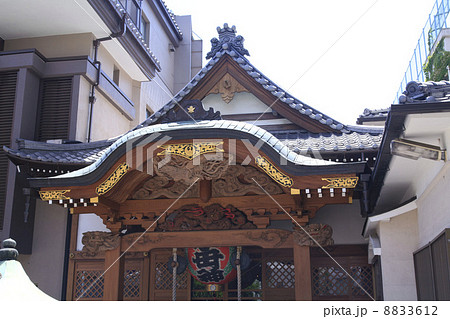 東京都・入谷鬼子母神の真源寺 8833612