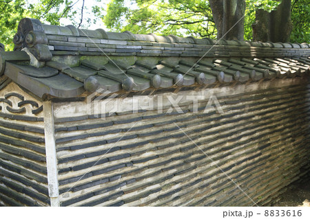 東京都・待乳山聖天の築地塀 8833616