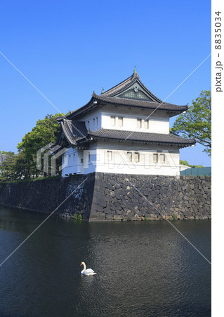 東京都・皇居　巽櫓と白鳥 8835034