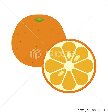 いよかん いよかん 8838231