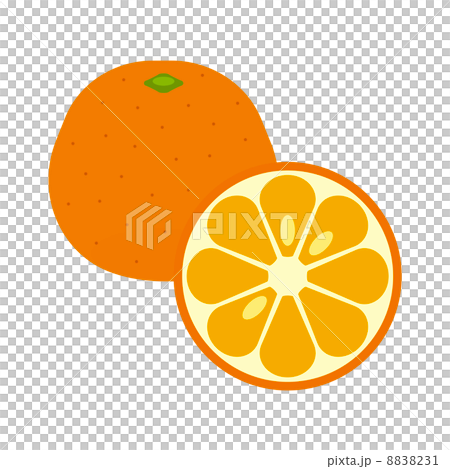 いよかん いよかん 8838231