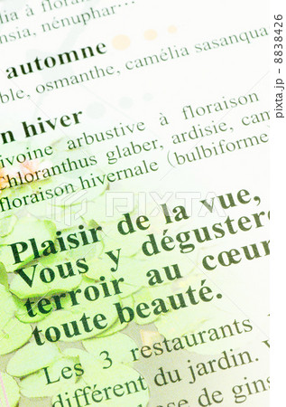 フランス語の背景紙 8838426