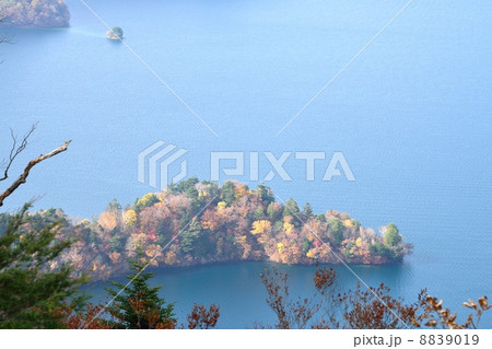 中禅寺湖の八丁出島 中禅寺湖の八丁出島 8839019