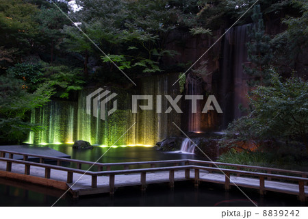 目黒雅叙園　園内の滝　ライトアップ 8839242