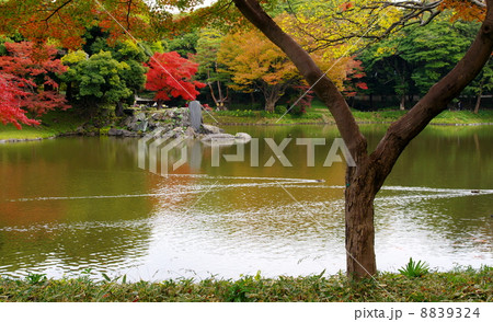 小石川後楽園 8839324