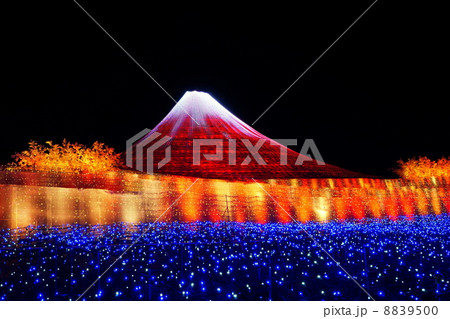 なばなの里　冬のイルミネーション 8839500