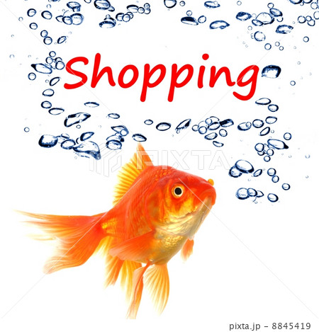 shopping shopping 8845419