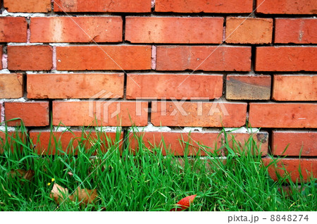 brick wall 8848274