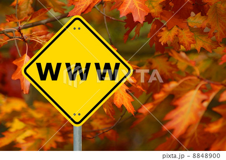 internet internet 8848900