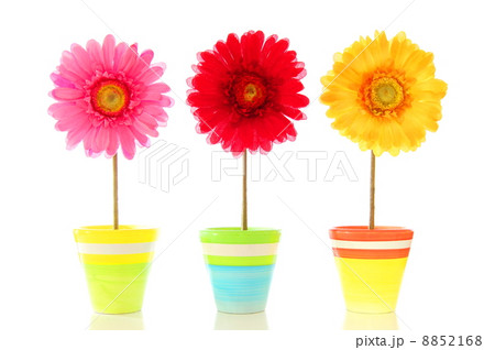 funny flowers funny flowers 8852168