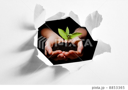 hole in paper and plant in hands 8853365