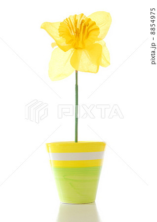 flower in pot flower in pot 8854975