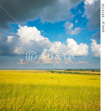 Summer landscape Summer landscape 8859708