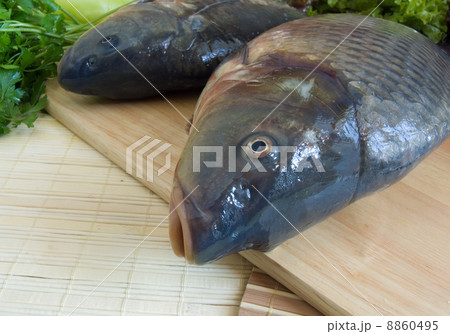 Carp fish 8860495
